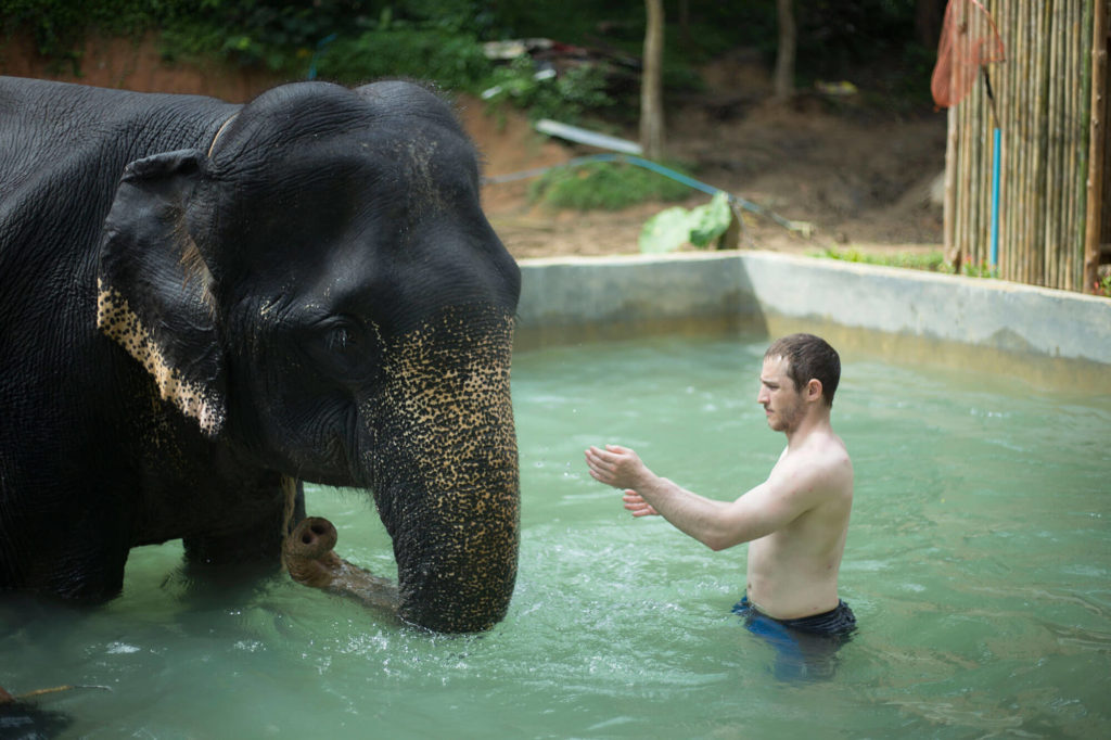 Elephant Bathing in Phuket - Kok Chang Safari