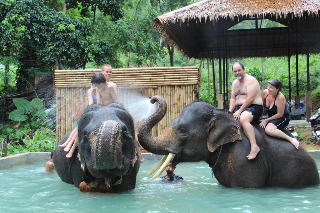 Kok Chang Safari - Elephant caring, bathing