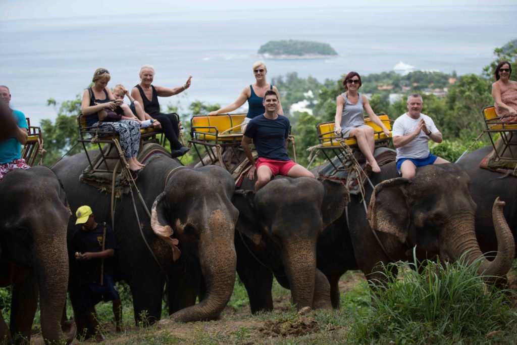 Elephant trekking in Phuket - Kok Chang Safari