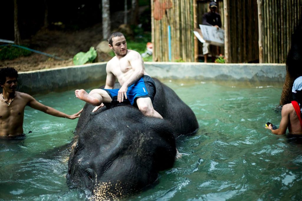 Kok Chang Safari - Elephant caring, bathing