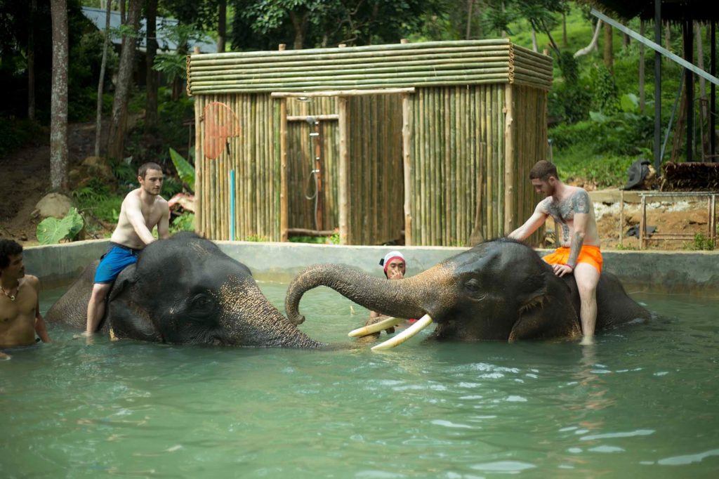 Kok Chang Safari - Elephant caring, bathing