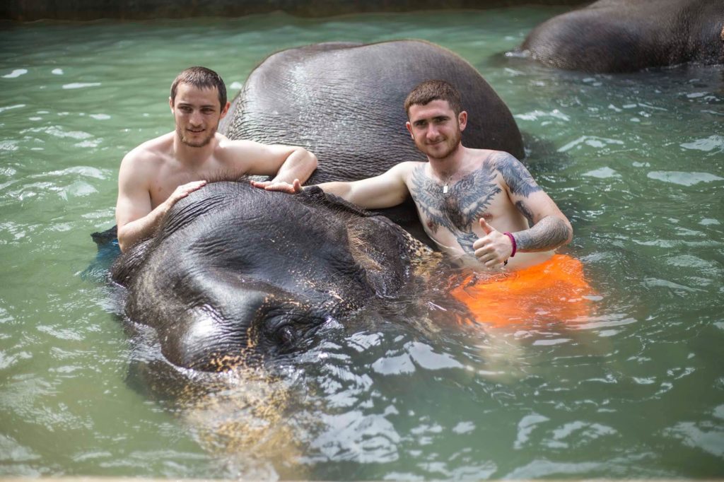 Kok Chang Safari - Elephant caring, bathing