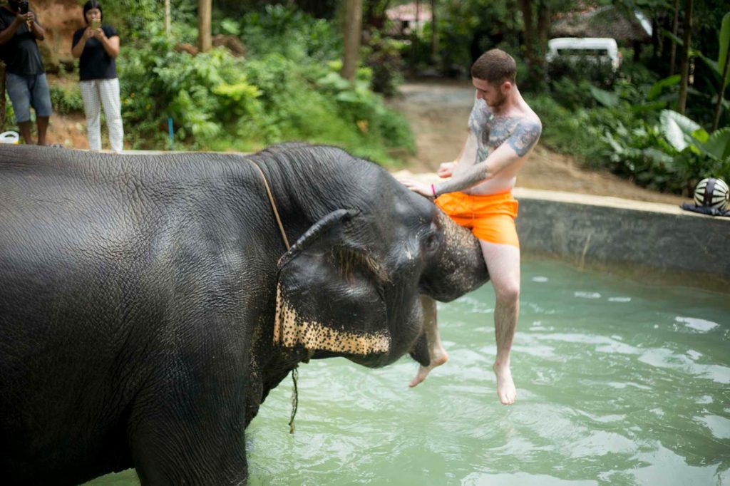 Kok Chang Safari - Elephant caring, bathing