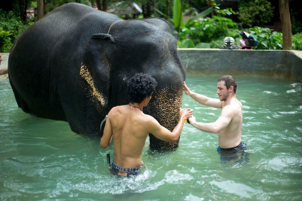 Kok Chang Safari - Elephant caring, bathing