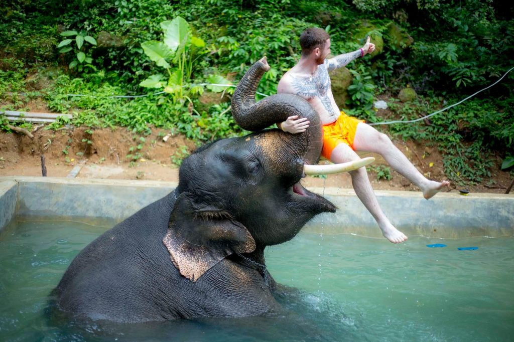 Kok Chang Safari - Elephant caring, bathing