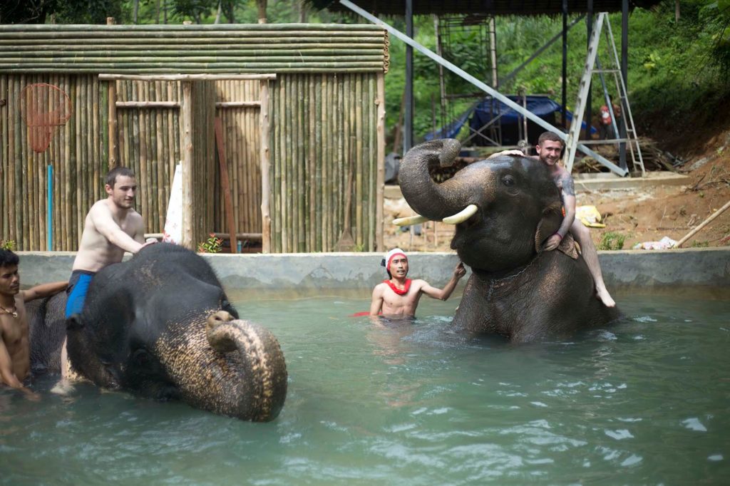 Kok Chang Safari - Elephant caring, bathing