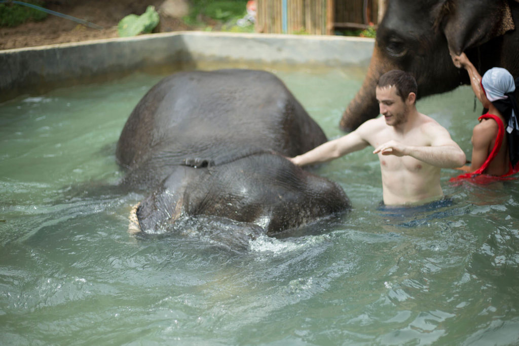 Kok Chang Safari - Elephant caring, bathing