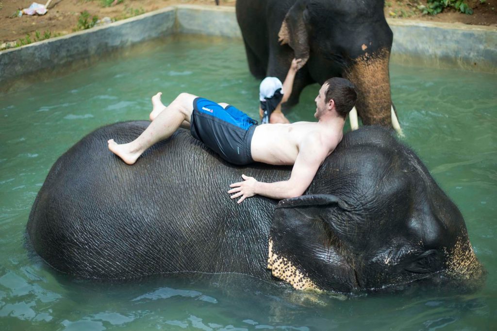 Kok Chang Safari - Elephant caring, bathing