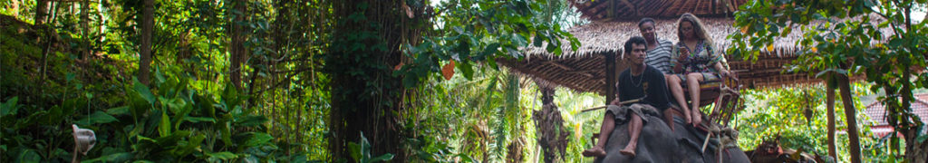 Booking online - Kok Chang Safari