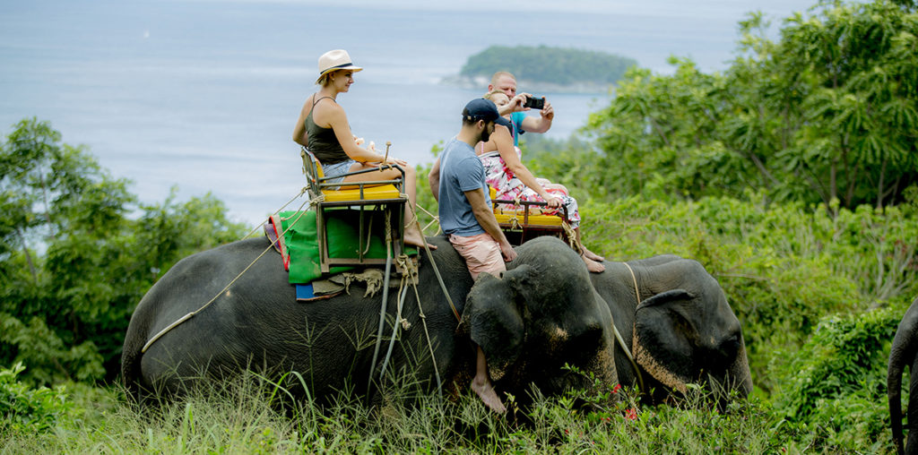 Elephant trekking