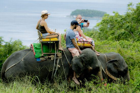 Elephant trekking