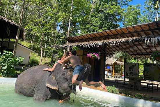 Kok Chang Safari - Elephant caring, bathing